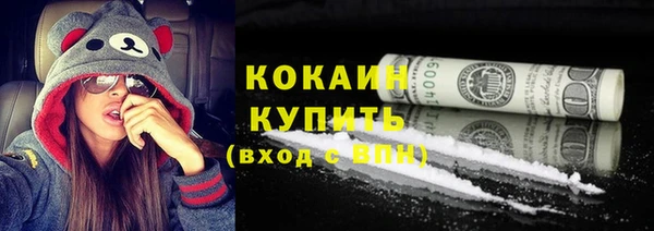 дмт Пересвет