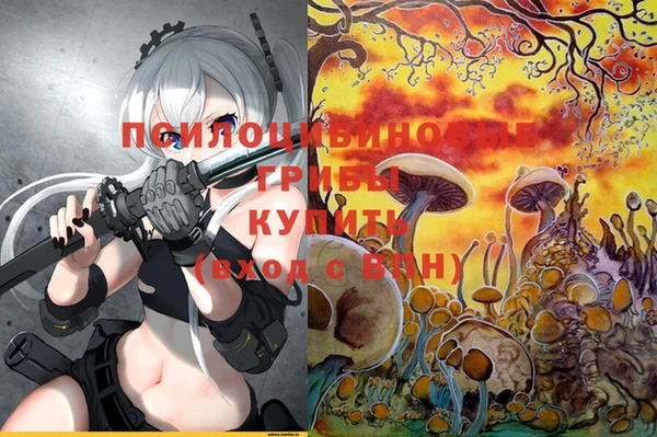 мет Переславль-Залесский