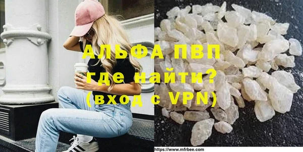 дмт Пересвет