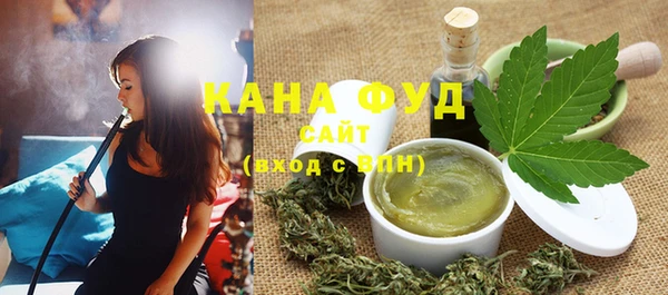 дмт Пересвет