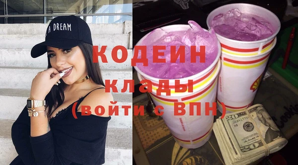 дмт Пересвет
