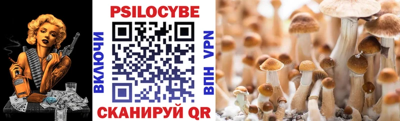 Псилоцибиновые грибы Psilocybine cubensis  Севск 