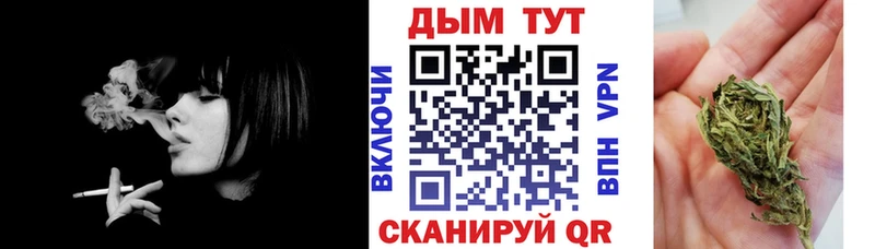 Каннабис сатива  Севск 
